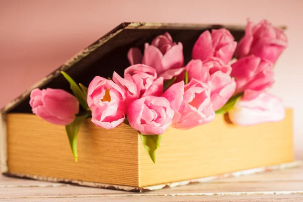 Tulips in book