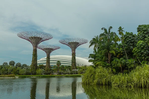 Gardens by the Bay in Singapore