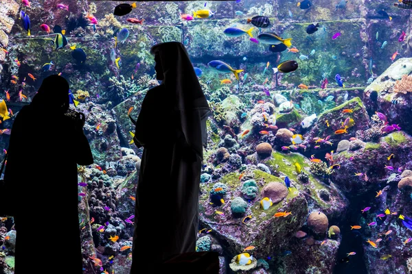 Huge aquarium in Dubai