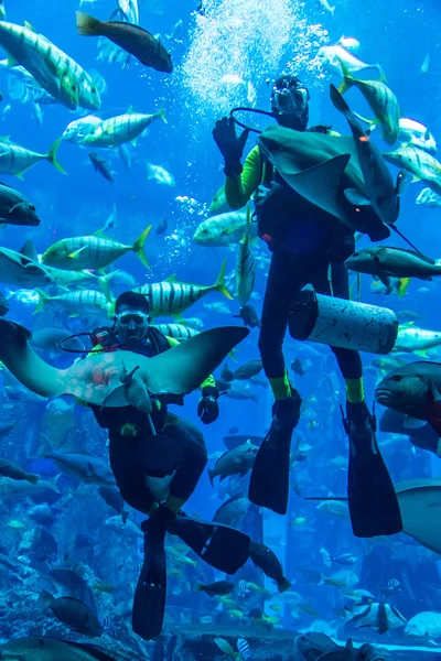 Huge aquarium in Dubai.