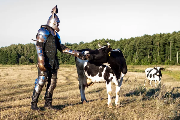 Medieval knight with cow