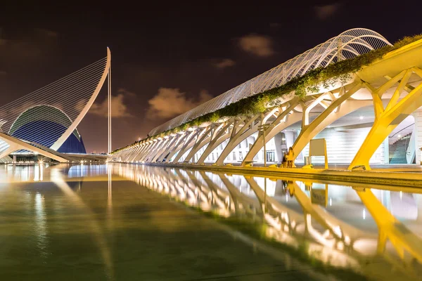 City of Arts and Sciences in Valencia