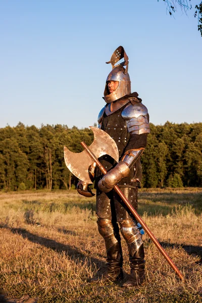 Medieval knight with axe