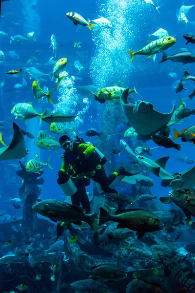 Huge aquarium in Dubai