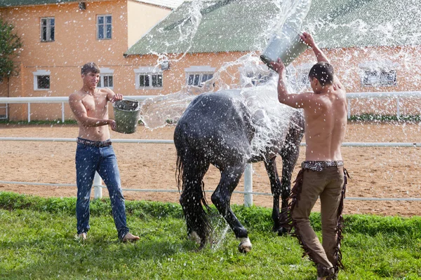 Two young men wash horse