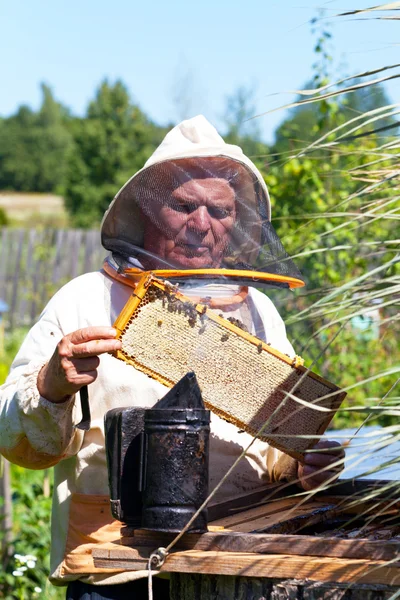Bee-keeper in mask at work