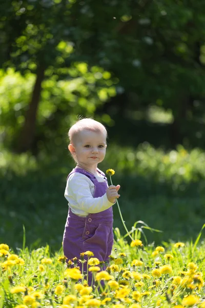 Little girl with dandelion in hand