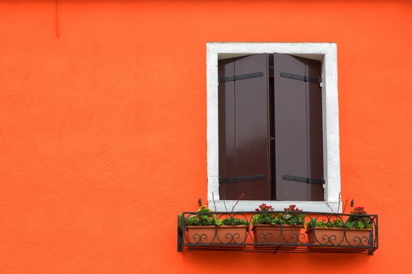 Window shutters closed on orange wall