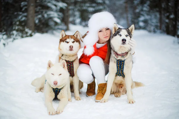 Portrait of a beautiful woman with Siberian huskies - Husky.