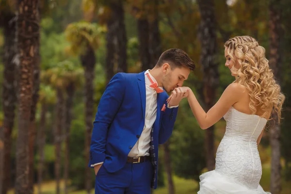 The groom kisses the hand of his bride in a green park.