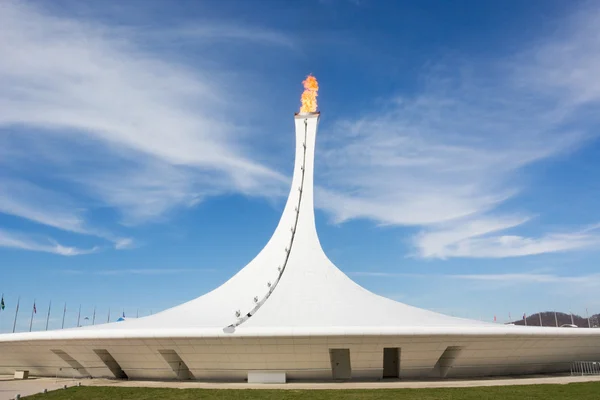 SOCHI, RUSSIA - FEBRUARY 12, 2014: Olympic fire of Winter Olympic Games Sochi 2014