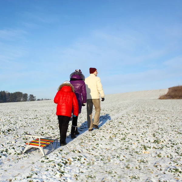 Family walking in winter.