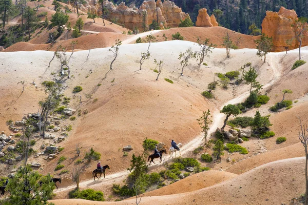 People on horses  in National Park