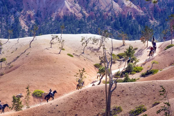 People on horses  in National Park