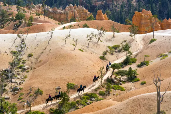 People on horses  in National Park