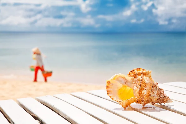 Welcome to Vietnam! Sea shell on a chaise lounge