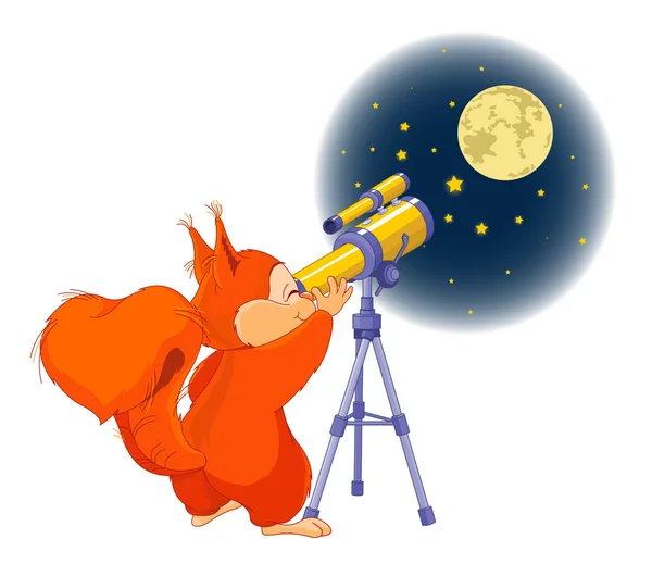 Squirrel looking in telescope on stars