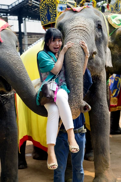 On the Elephants show frightened girl lift at elephant's trunk