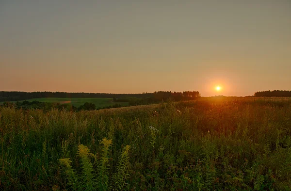 Beautiful Summer Sunset in Countryside