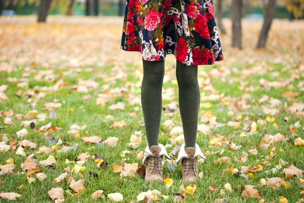 Female wool tights and autumn shoes