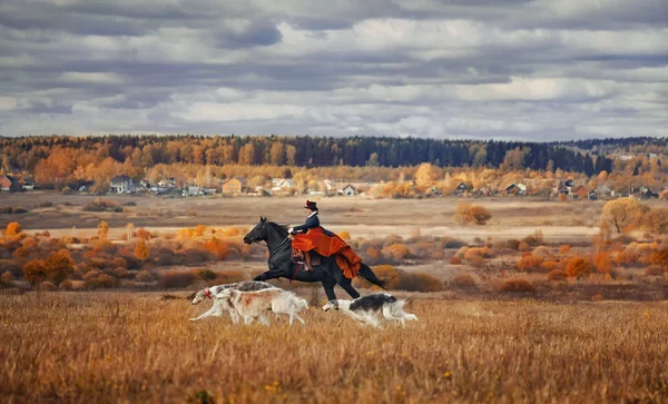 Historical reconstruction of  hounds hunting