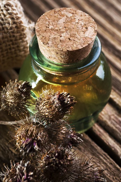 Burdock oil, dry flowers and seeds
