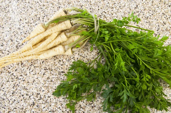 Fresh parsley roots