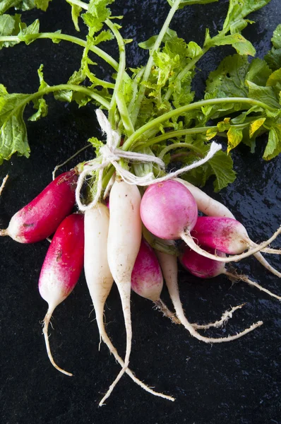 Raw red and white radishes