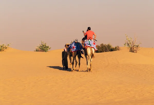 Camel safari dunes