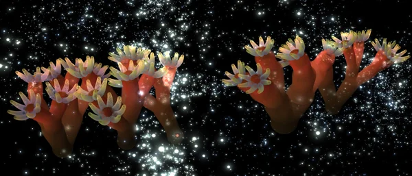 Mysterious sea plants in the night sky