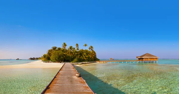 Bungalows on tropical Maldives island