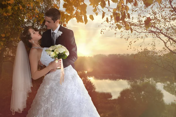 Romantic married couple. Bride and Groom kissing on the river bank at sunset