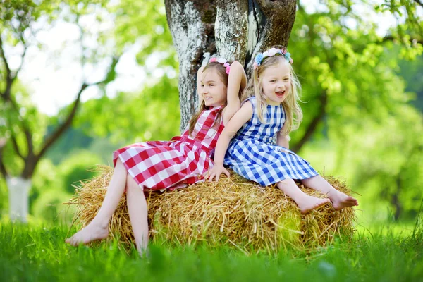 Two little sisters sitting on a haystack