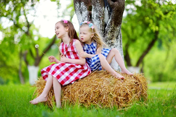 Two little sisters sitting on a haystack