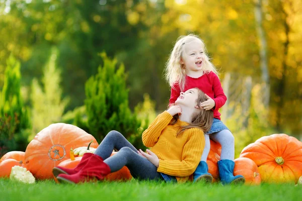 Sisters having fun on pumpkin patch