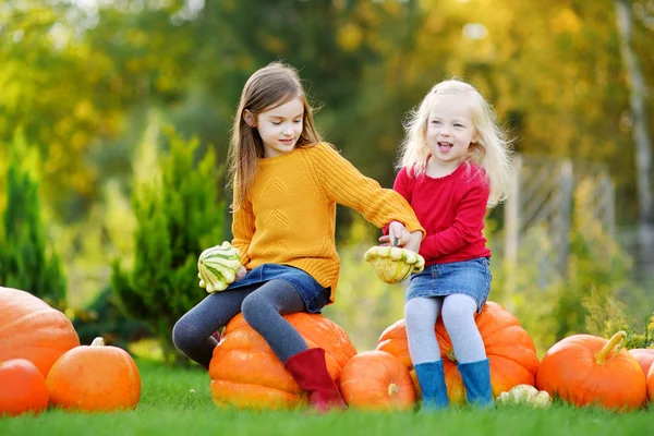 Sisters having fun on pumpkin patch