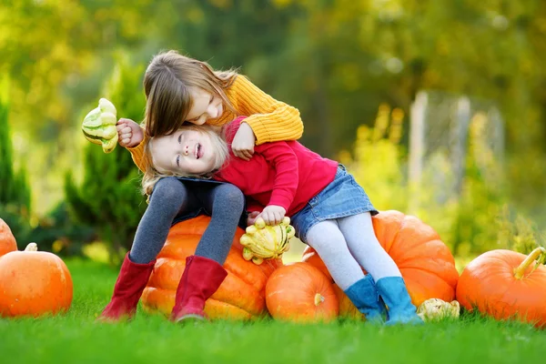 Sisters having fun on pumpkin patch