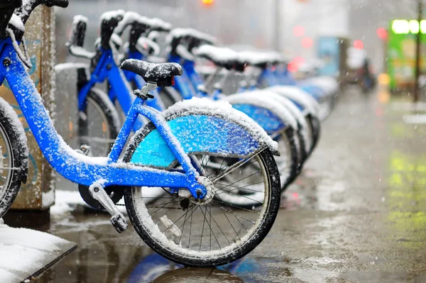 Rental city bikes covered with snow