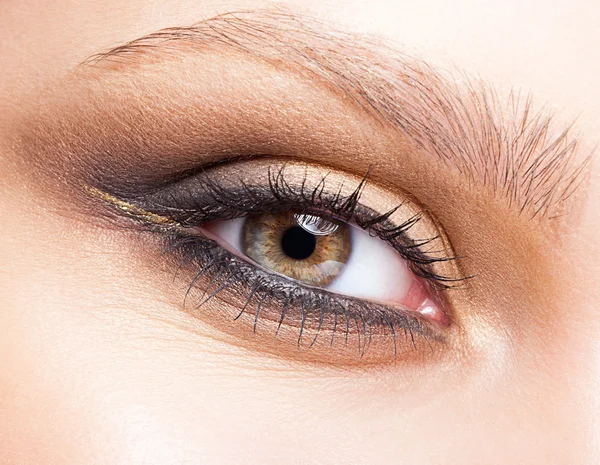 Closeup shot of woman eye with day makeup