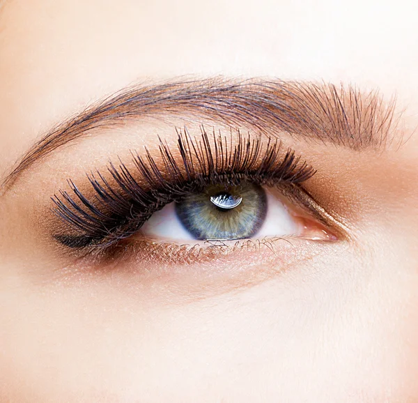 Female eye with long eyelashes