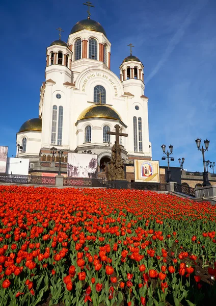 View of the Church on Blood in spring with blooming tulips on th