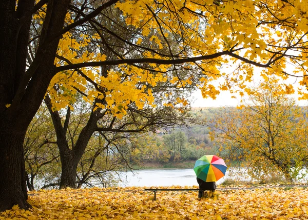 Person  with  colorful umbrella