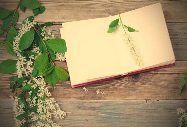 Blossoming bird-cherry and vintage open book