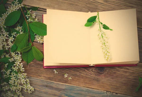 Open book with bird-cherry branches