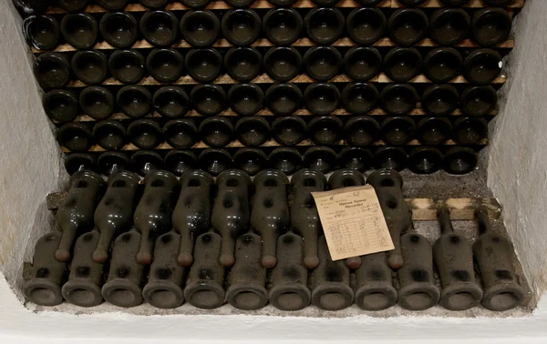 Rare wines in Massandra winery, Yalta, Crimea