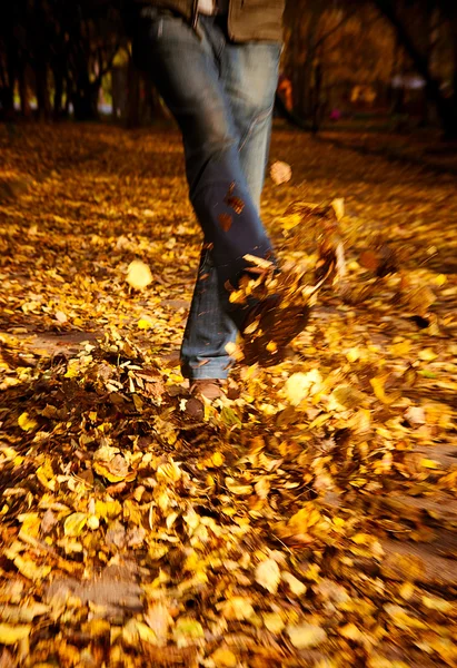 Feet on leaves