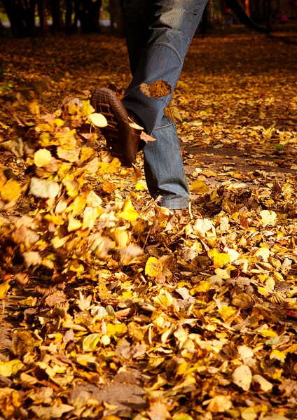 Feet on leaves