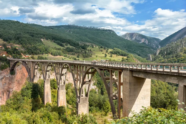 Durdevica Tara Bridge over the Tara River, Montenegro