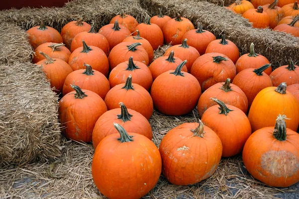 Pumpkins at autumn market