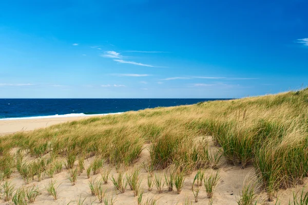 Sand dunes at Cape Cod